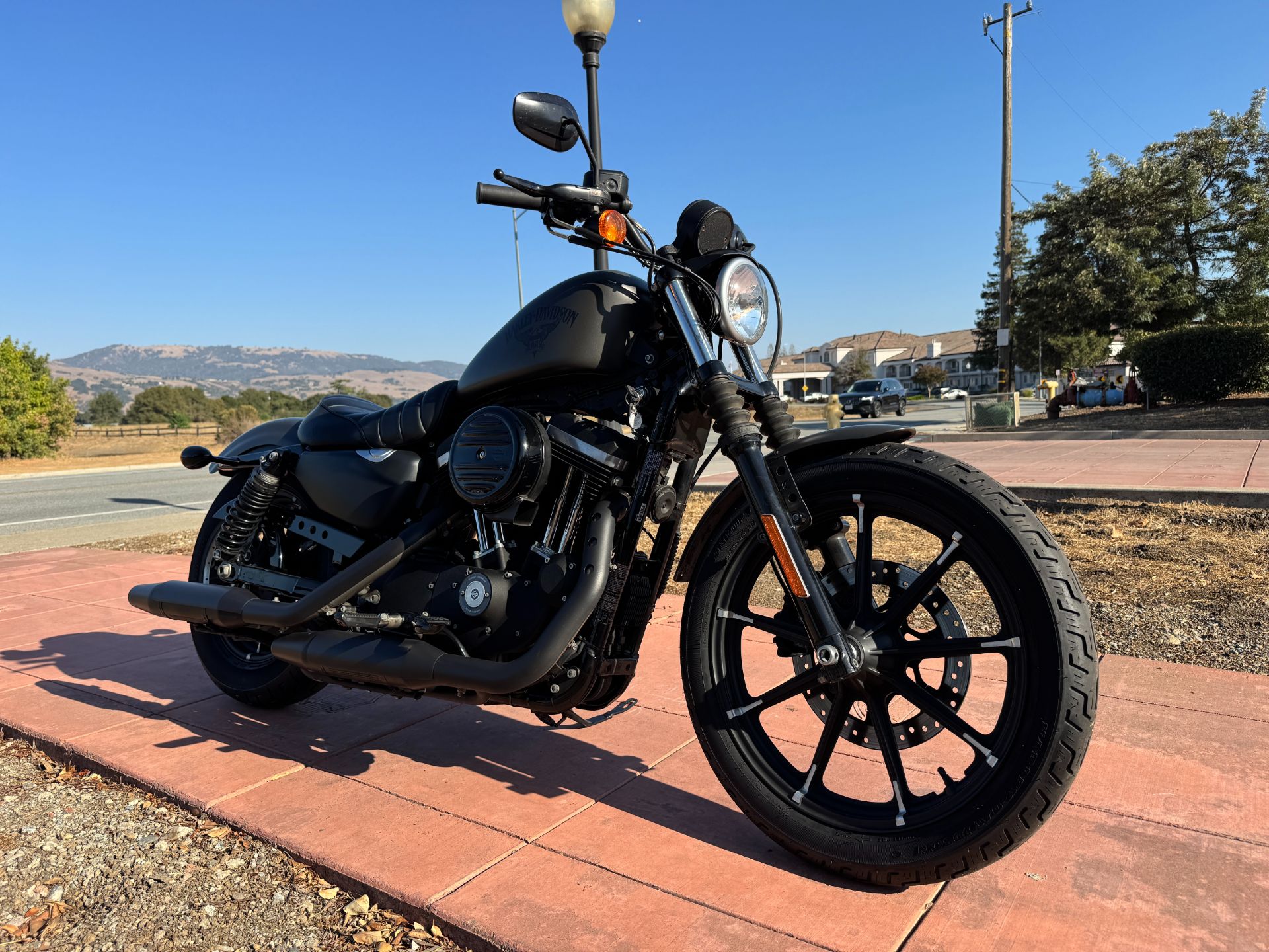 First Harley? These 5 Used Models Won't Scare You