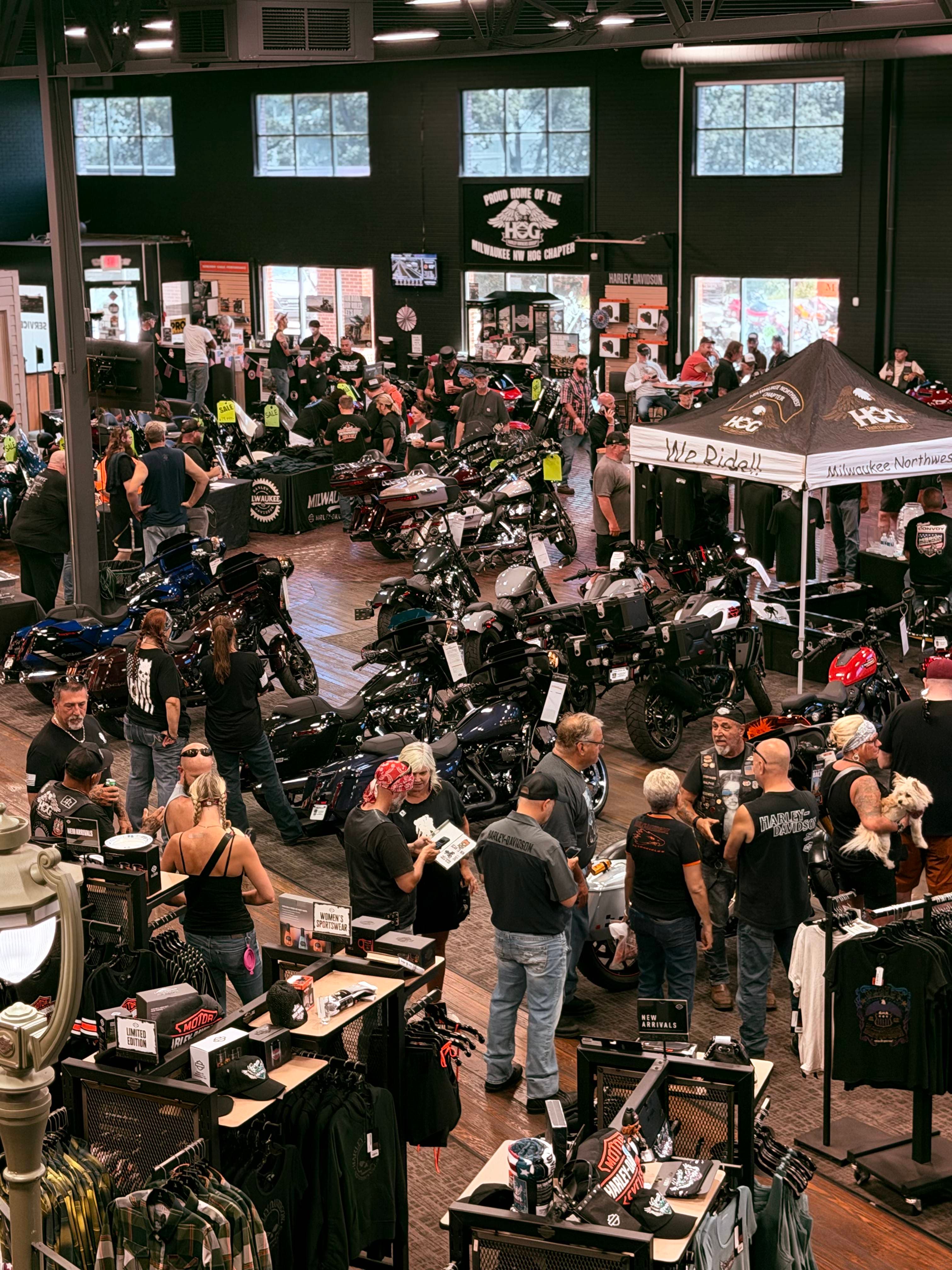 The floor — garage showroom