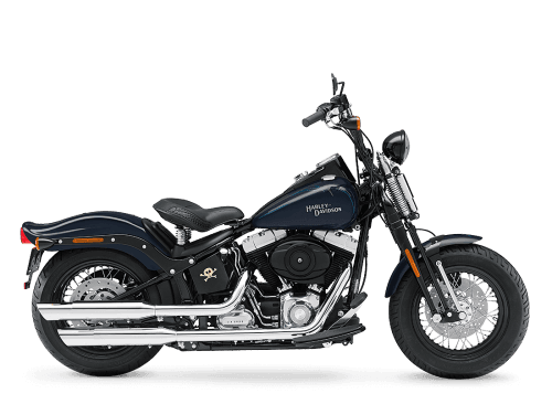 2009 Harley-Davidson Softail Cross Bones